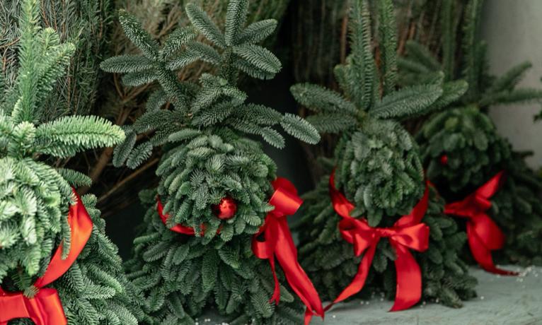 3-го грудня у Києві запрацюють офіційні ялинкові ярмарки, - КМДАМістяни зможуть ...