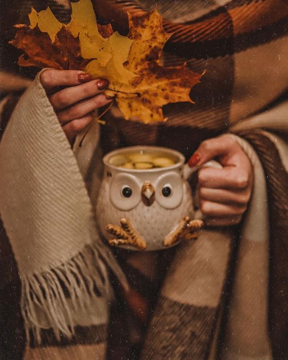 В Україні у вівторок, 25 листопада, очікується хмарна погода з проясненнями У за...