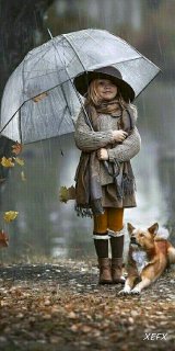 Доброго ранку!Дощі з заходу країни поступово переміщаються в центр та північ. На...