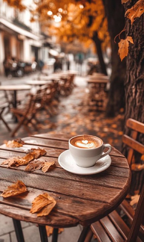 Доброго ранку!Сьогодні в Україні похмуро, сніжитиме місцями та туман  На заході:...