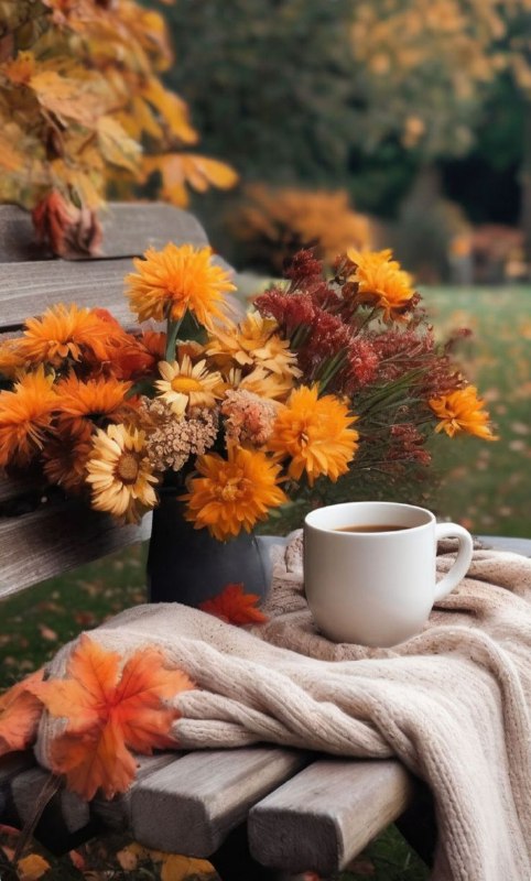 Доброго ранку!Сьогодні очікується тепла й здебільшого спокійна погода. Втім ніч ...