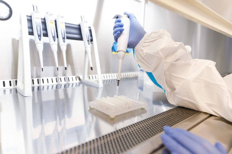 Київ переживає сезонний підйом захворюваності. За 47-й тиждень медики зафіксувал...