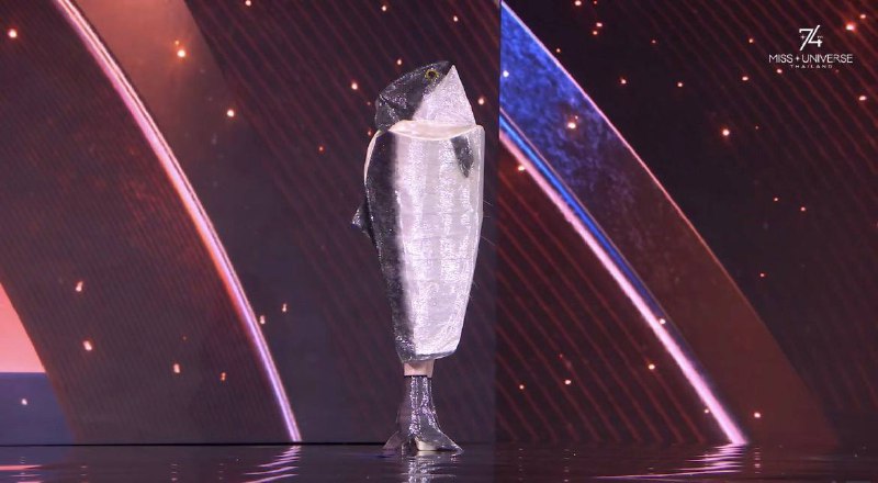 На «Міс Всесвіт-2025» норвезька учасниця Леонора Лісглімт-Редланд вийшла у кост...