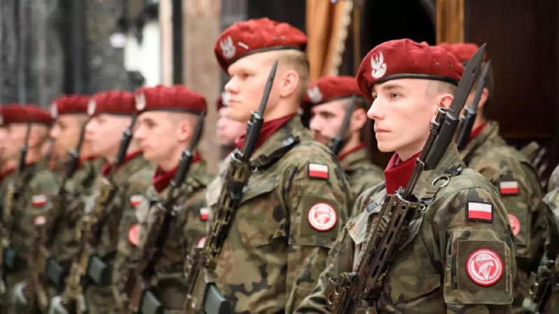 Польща отримає від Євросоюзу 44 мільярди євро на оборону, — BildЧастину грошей ...