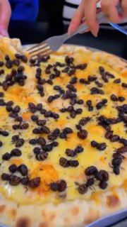 У Бразилії готують піцу з мурахами, і це не жарт, а сезонний делікатесВикористов...