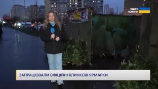 5000-6000 грн за ялинку просять продавці у Києві...