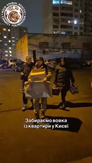 "Бракує цензурних слів, щоб описати те, що ми побачили": у Києві на жінку напав...