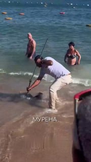 В Єгипті величезна мурена напала на росіянинаСталося це просто на узбережжі Чер...