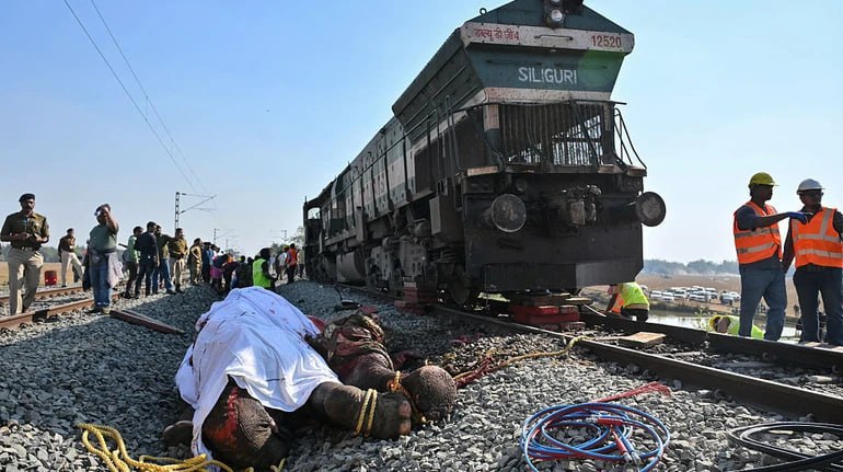 В Індії швидкісний потяг врізався у стадо диких слонів, через що загинуло 7 твар...