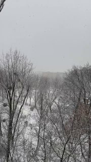 В столиці сніг йде без зупинки! З такими темпами до вечера будемо мати снігові к...