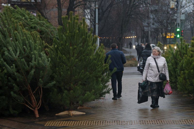 Від 300 гривень за дерево: У столиці запрацювали ялинкові ярмаркиУ Києві 4 грудн...