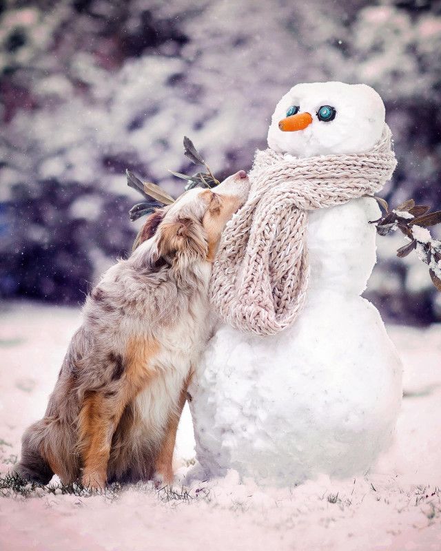 До 15 см снігу навалить в Україні!На рубежі 2025 та 2026 років очікується справ...