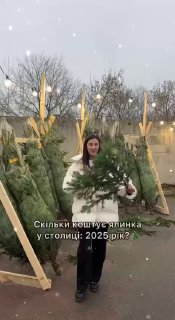 До 20 000: ціни на новорічні ялинки в КиєвіЦьогоріч вибір в асортименті дерева в...