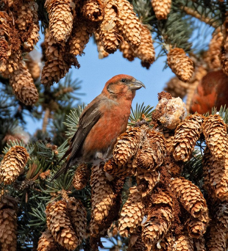 Доброго ранку!В День Святого Миколая в Україні буде вітряно, особливо на півдні ...