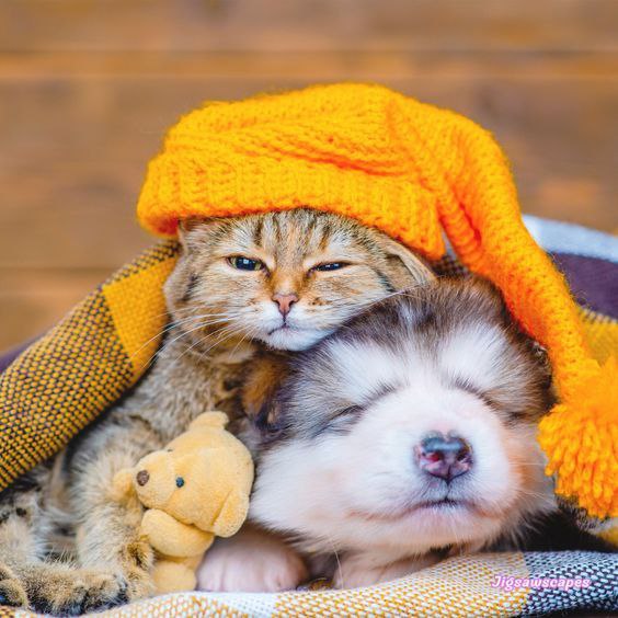 Доброго ранку!Новий робочий тиждень в Україні розпочнеться з зниження температур...