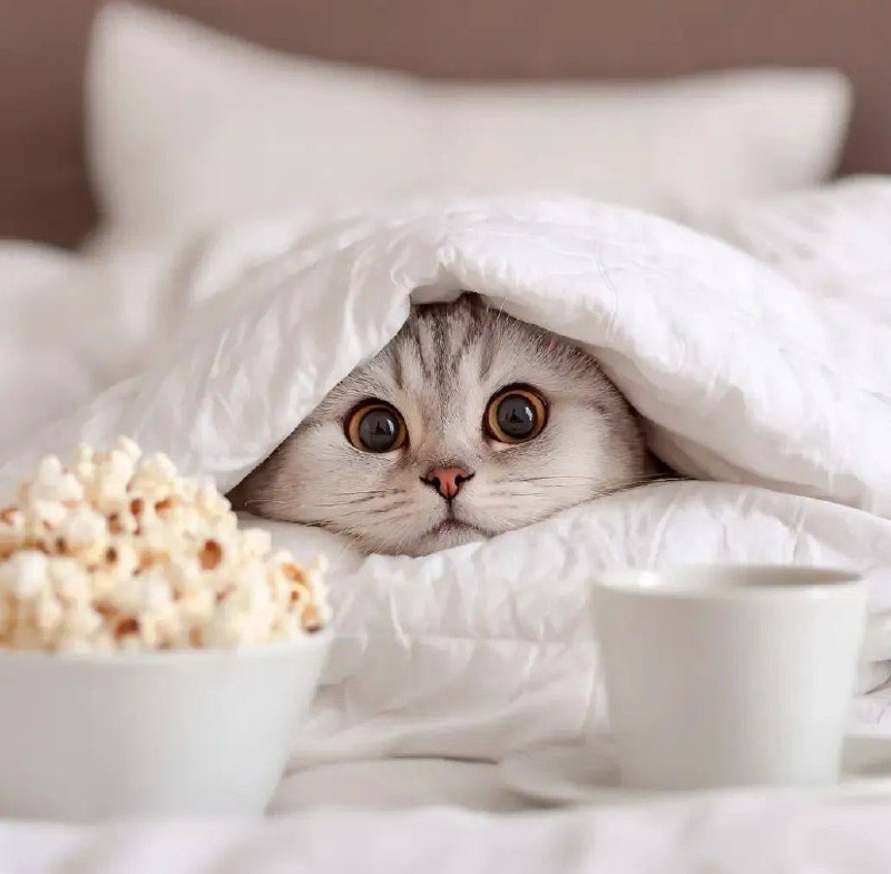 Доброго ранку!Сьогодні в Україну йде вже похолодання! В деяких регіонах похмуро ...