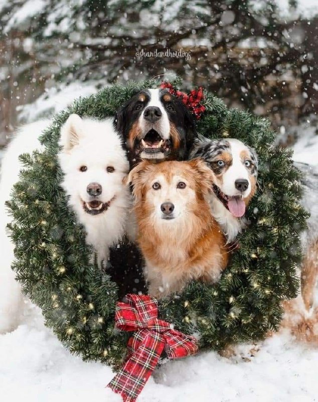 Доброго ранку!Сьогодні в Україні не буде сильного похолодання, але температура в...