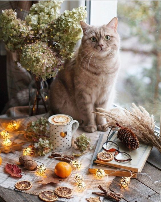 Доброго ранку!Сьогодні погода в Україні буде нестабільною і різноманітною: у баг...