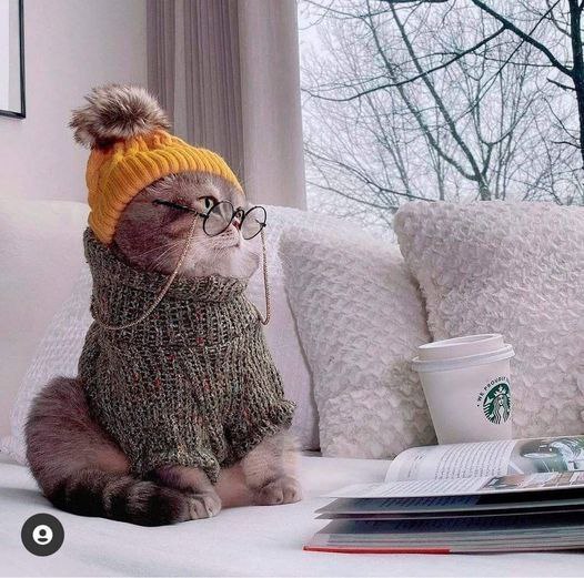 Доброго суботнього рвнку!З сьогоднішнього дня в Україну прийде похолодання. Темп...