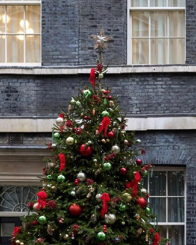 "З України з любов’ю": ялинку біля резиденції Прем’єра Британії прикрасили жар-...