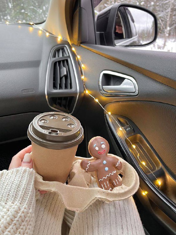 Завтра в столиці 0 та можливий сніг Після прильотів минулої ночі у багатьох осел...