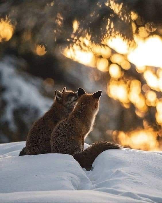 Завтра в столиці знову хмарно і незмінно +3 На тлі блекаутів та дронів ми потих...