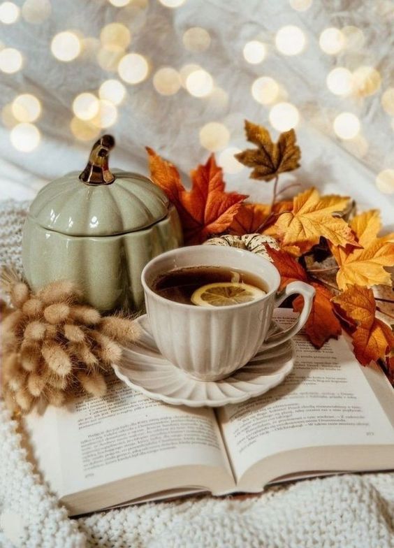 Завтра в столиці хмарні +5Так, погода поки мало нагадує зиму . І навіть не знаю...