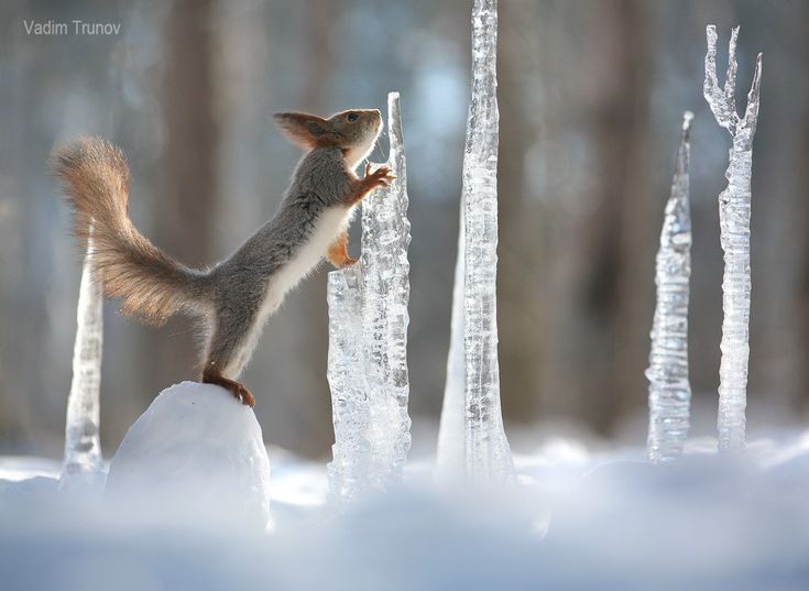 Зима в Україні буде ще теплішою, ніж очікувалося ранішеМетеоролог Віра Балабух з...