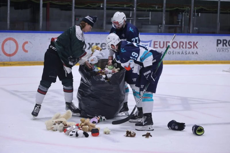 Матч української команди призупинили через плюшевих ведмедиків на льоду, – liepa...