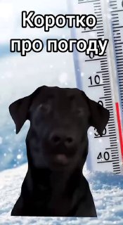 Морози посиляться під час новорічних свят: з 30 грудня розпочнеться новий етап п...