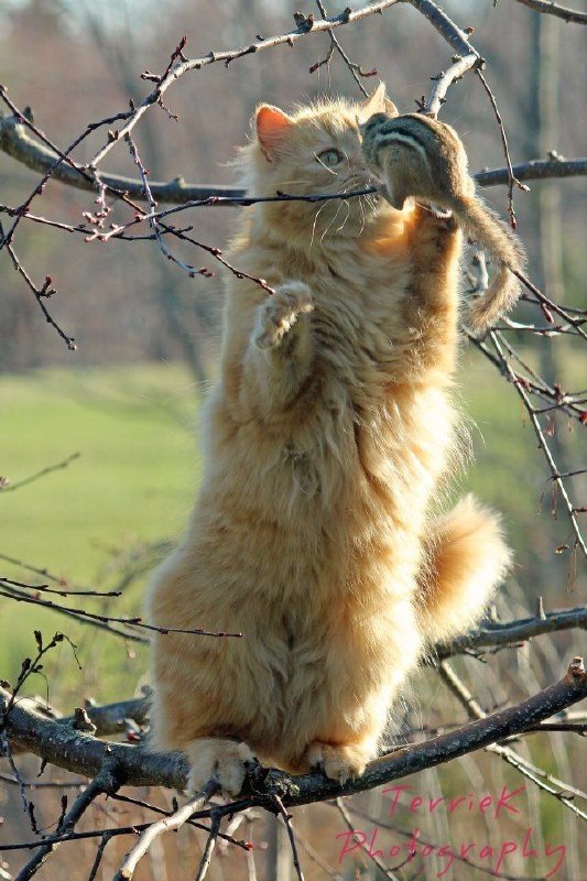 На вихідних в Україну прийде похолодання, але воно триватиме дуже недовгоЗа прог...