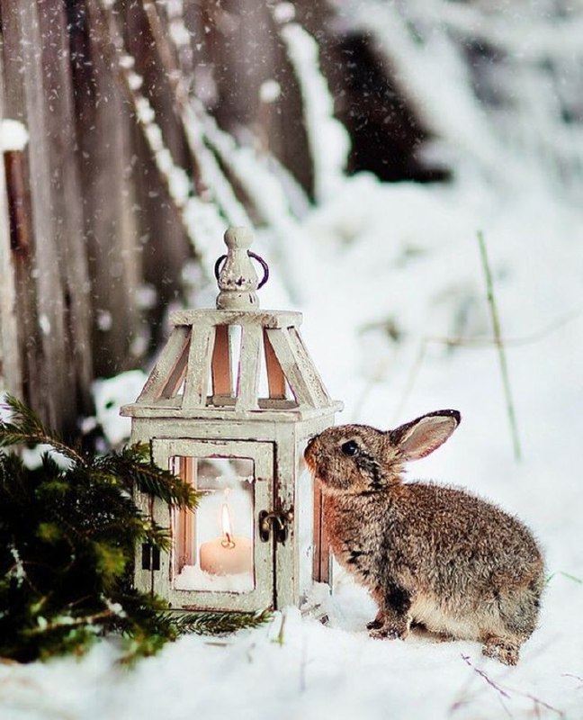На святвечір та Різдво в Україні будуть морози"Більш зимовий характер погоди вж...