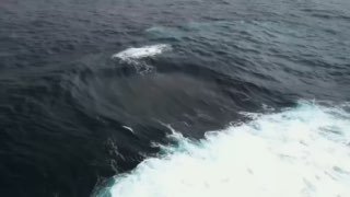 Один із найрідкісніших океанських феноменів випадково виявили серфери з Австралі...