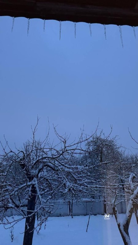 Прикарпаття напередодні Різдва засипало снігом.Неймовірні кадри снігопаду у Надв...