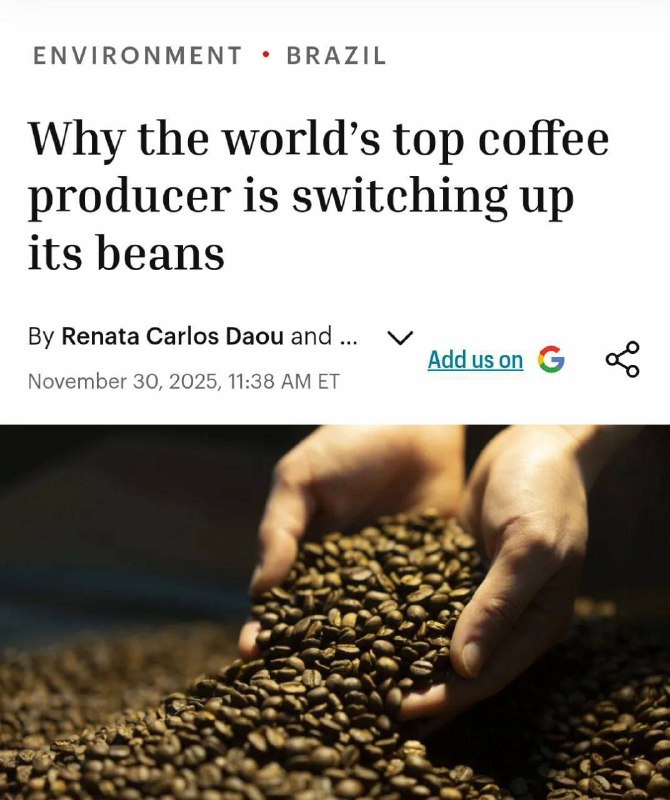 Смак кави може скоро змінитись — через клімат бразильські фермери переходять з а...