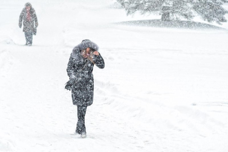 Сніг і вітер йдуть в УкраїнуСьогодні та завтра ще буде сухо, але холодно, а поті...