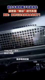 У Китаї чоловік вирішив перевірити дивний гуркіт під капотом і знайшов там 18 кі...