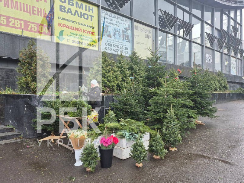 У Києві уже на повну працюють ялинкові ярмаркиВ асортименті - як вітчизняні хвой...