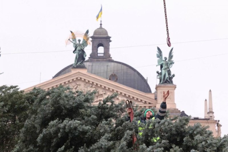 У Львові почали встановлювати різдвяну ялинку "Головна ялинка - вже у місті! Цьо...