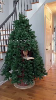 У США придумали новорічну ялинку... для котівЦей триярусний котобудиночок із шту...