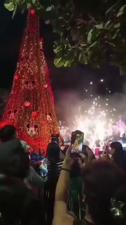 У мексиканському місті Сан-Вісенте церемонія запалення новорічної ялинки випадк...