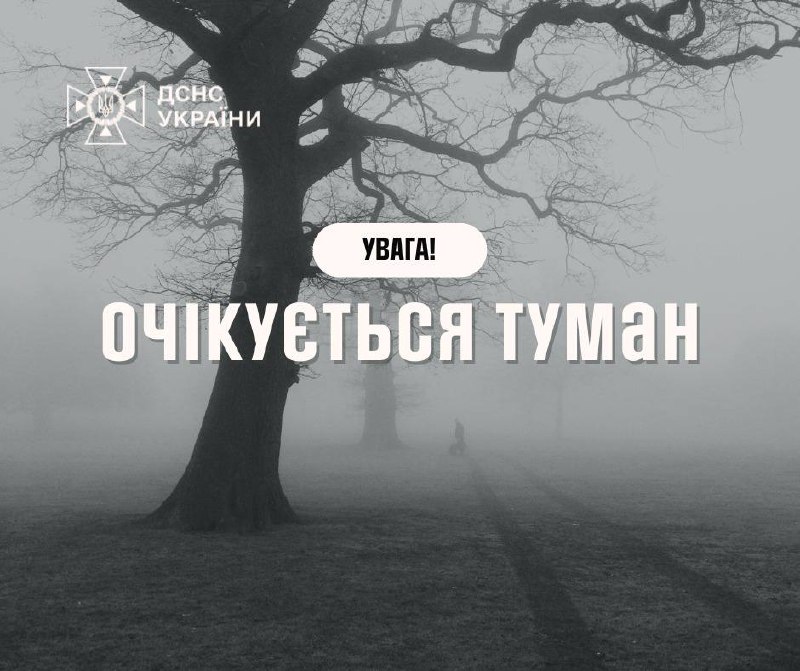У неділю Україну накриє туман, різко знизиться видимість на дорогахВидимість вна...