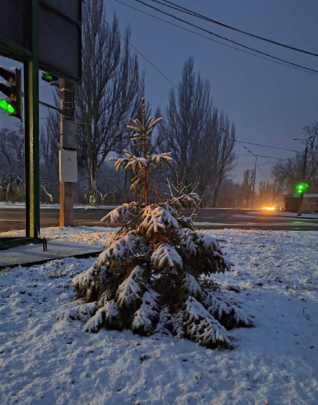 Україну засипає снігом: Харків, Дніпро, Полтаву та Запоріжжя вже накрило білим ...
