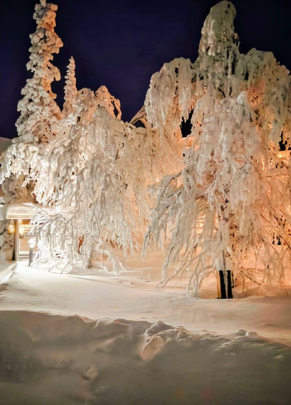Царство зими! Приголомшливий сніговий краєвид в ЛапландіїЦя земля відома своєю с...
