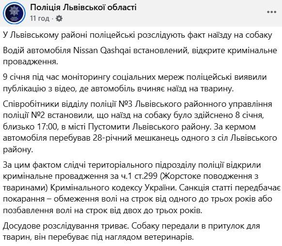 У Львові якась погань двічі переїхала собаку і втекла. Інші люди просто стояли і...