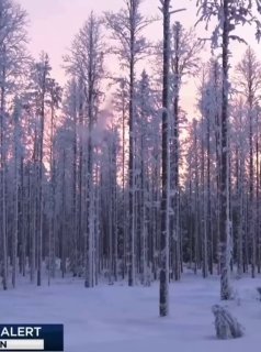 У США через масштабний зимовий шторм скасовано понад 13 тисяч авіарейсів   За да...