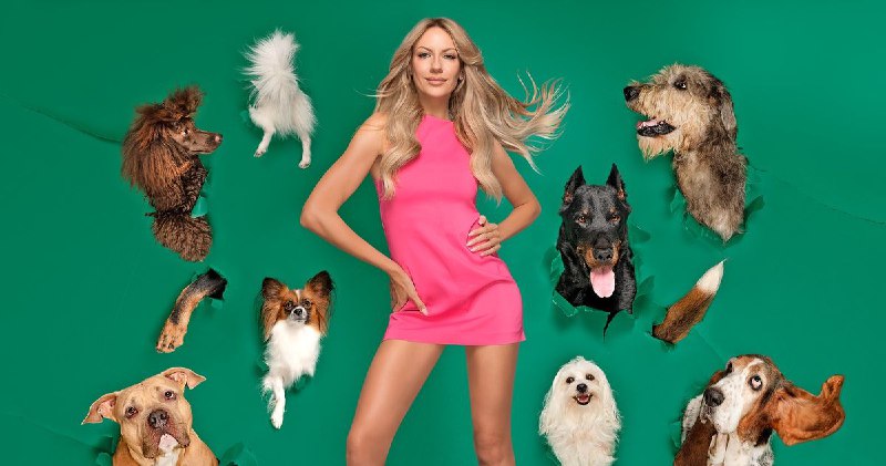 4 нові українські фільми для ідеальної неділі"Песики"Молода та успішна дівчина,...