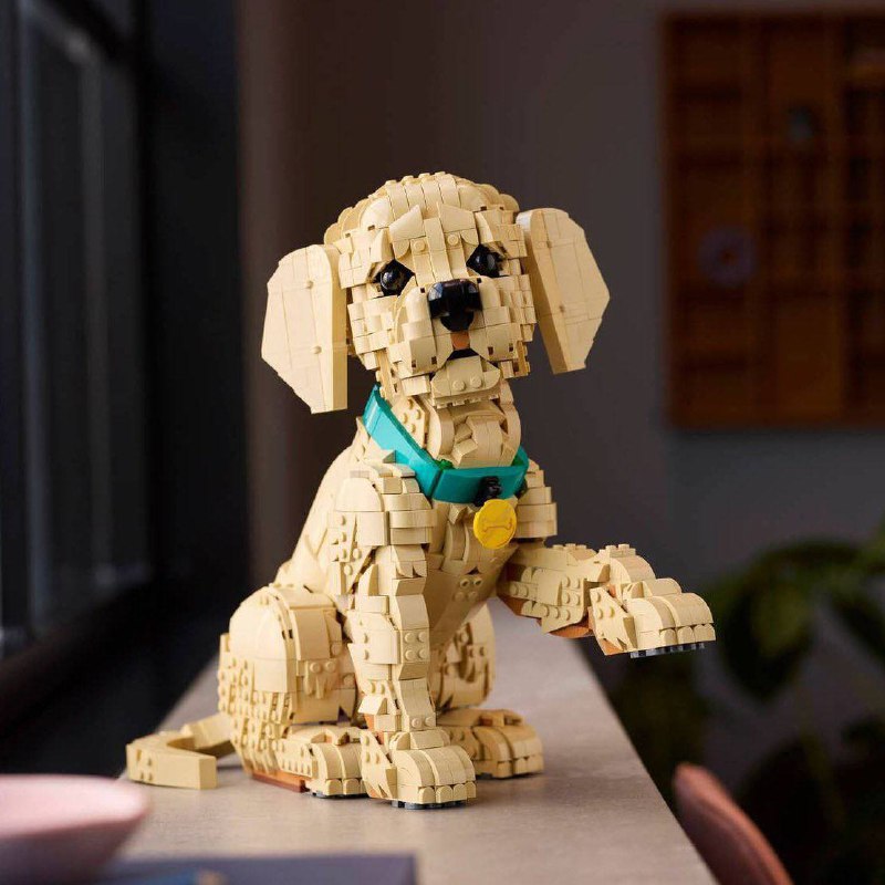 LEGO готує до релізу чарівний набір із цуценям золотистого ретривера: тепер прик...