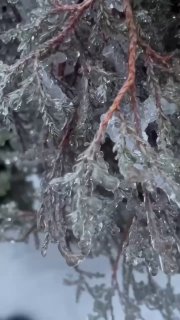 Багато вулиць Києва перетворилися буквально на льодяний майданчик для ковзання ...