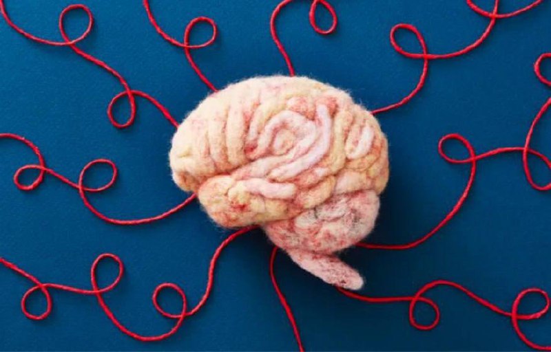 Віра в себе — ключ до успіху: нейробіологи довели, що мозок не відрізняє реальні...